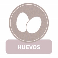 Œuf