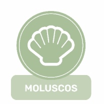 Mollusques