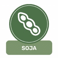 Soja